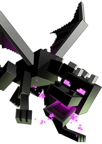 The Ender Dragon