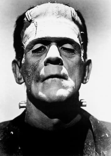 The Frankenstein Monster