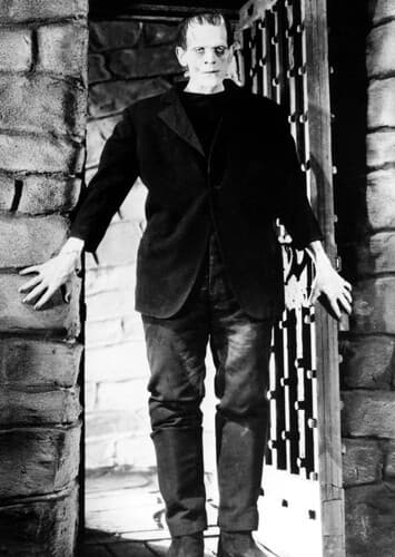 The Frankenstein Monster