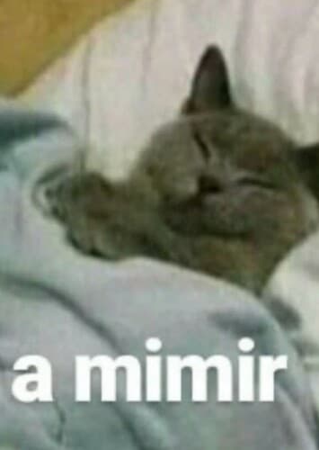 The Mimir
