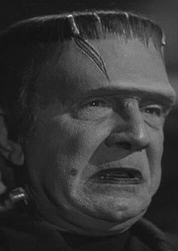 Frankenstein's Monster