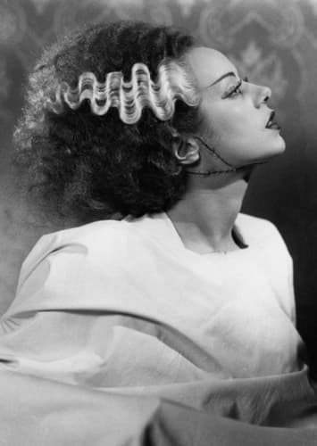 The Monster’s Bride