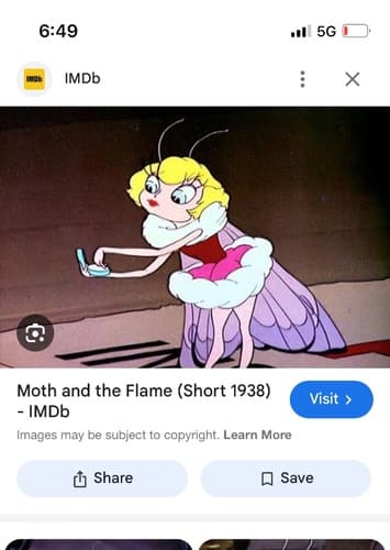The moth