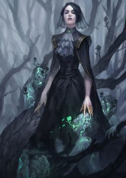 The Necromancer