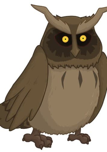 The owl