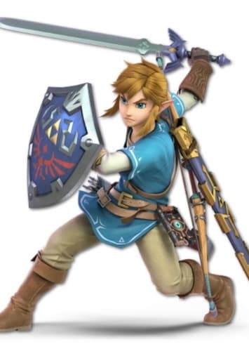 The Perfect One for Link