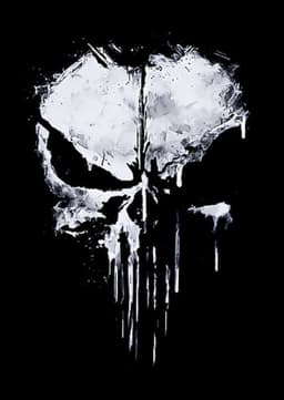 The Punisher