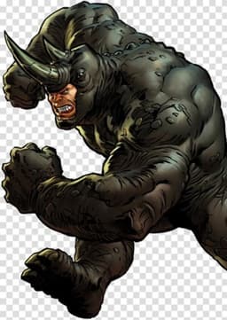 The Rhino