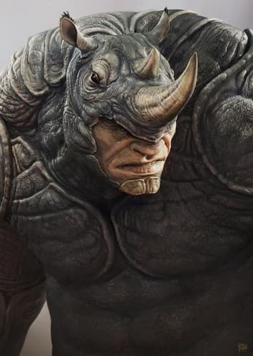The Rhino