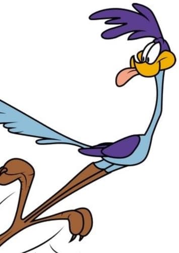 The Road Runner