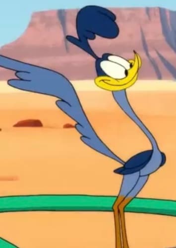 The Road Runner