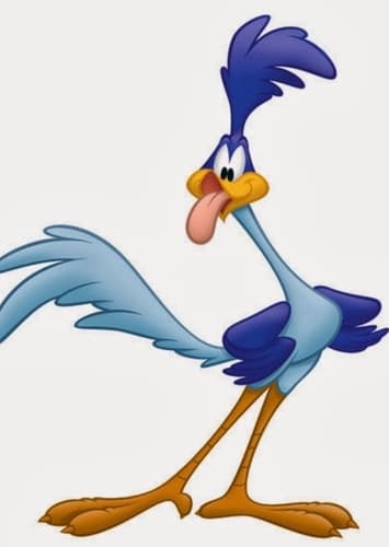 The Road Runner