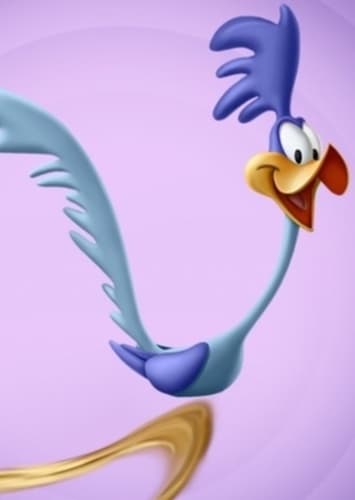 The Road Runner