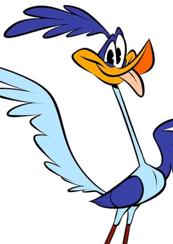 The Road Runner