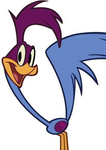 The Road Runner