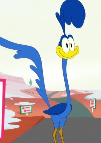 The Roadrunner