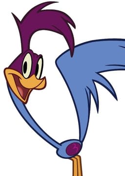 The Roadrunner