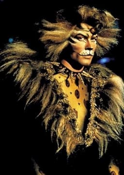 The rum tum tugger