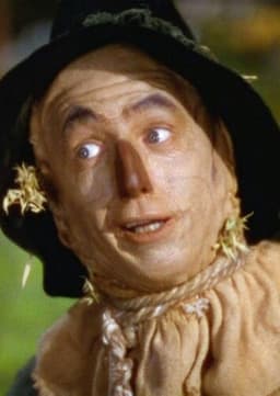 The Scarecrow