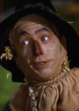 The Scarecrow