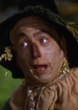 The Scarecrow