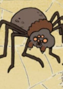 The Spider