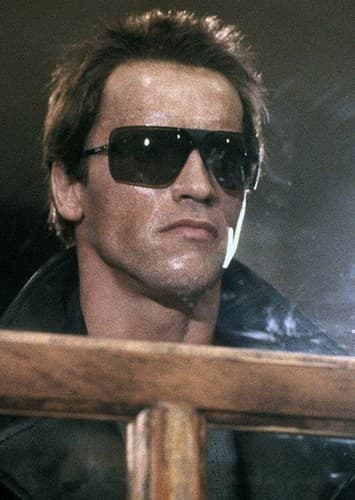 The Terminator