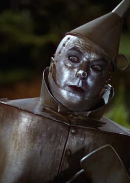 The Tin Man