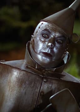 The Tin Man