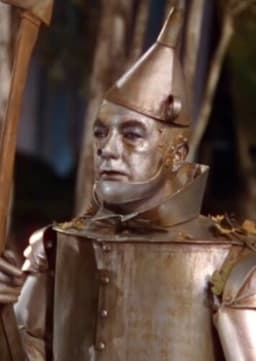 The tin man