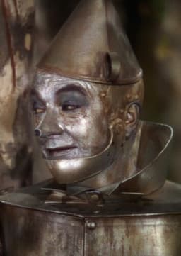 The Tin Man
