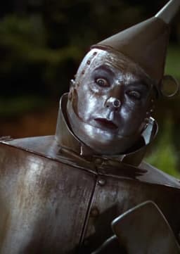 The Tin Man
