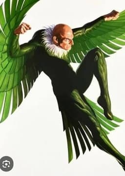 The Vulture