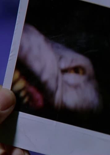 The Beast of Bailey Downs