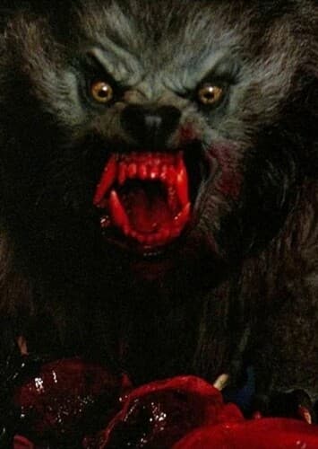 The Werewolf