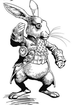 The White Rabbit