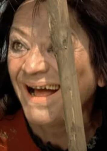 The Witch of Sherwood