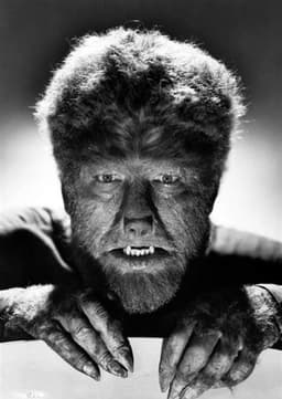 The Wolf Man