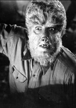 The Wolf Man