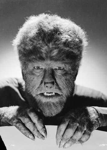 The Wolfman