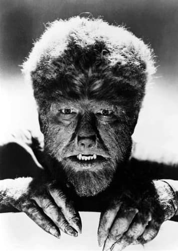The Wolfman