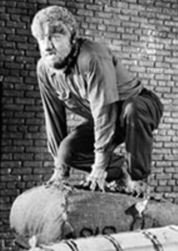 The Wolfman