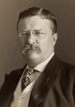 Theodore Roosevelt