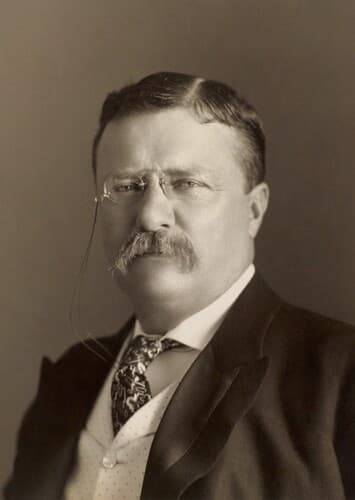 Theodore Roosevelt