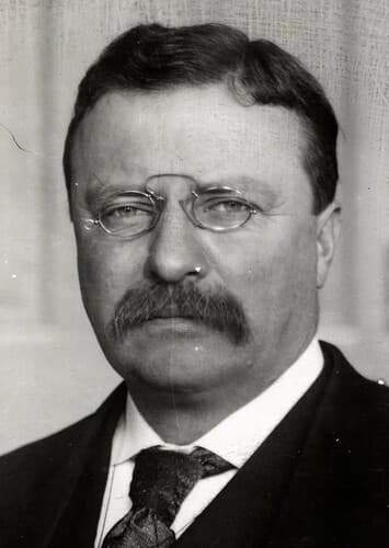Theodore Roosevelt