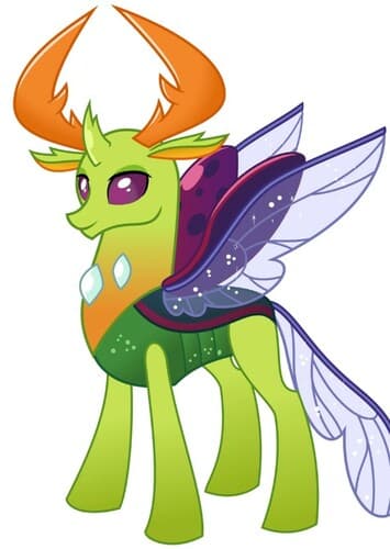 Thorax