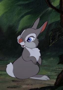 Thumper's Mom