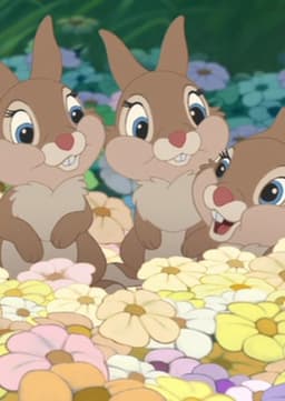 Thumper's Sisters
