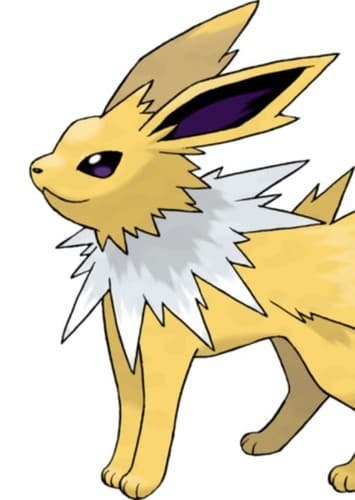 Thunders / Jolteon