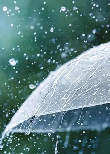 Rainfall Climatology